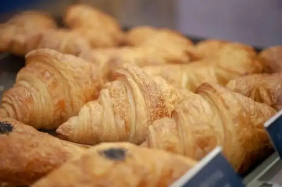 Boulangerie HALAL d'émulsifiants de pain hydratant la crème 20kg/baril