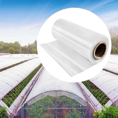 Auxiliaire antistatique de poudre des additifs DMG95 en plastique pour la glycérine granulaire Monstearate de BOPP