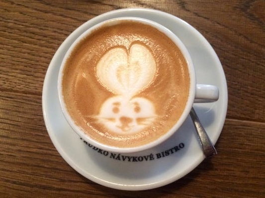 Ingrédient distillé de blanchisseur de café de monoglycéride d'additif