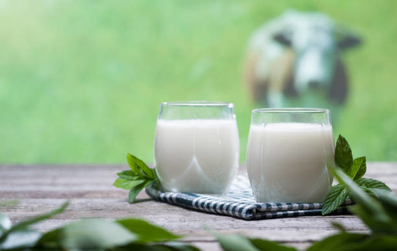 Les émulsifiants et les stabilisateurs de l'additif DMG95 empêchent la stratification possible en lait