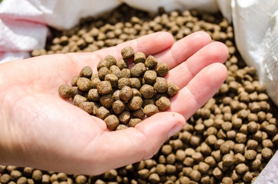 Additifs d'alimentation de Monolaurate GML de glycérol de pureté de 90%