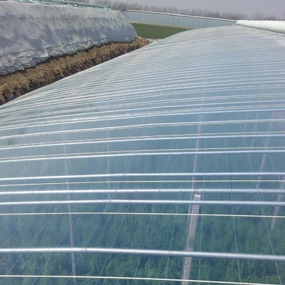 Acide stéarique glycéryl mono-stéarate GMS99 et additifs plastiques