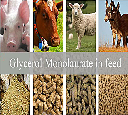 Additifs d'alimentation : Le glycérol Monolaurate GML80 saupoudrent pour l'animal
