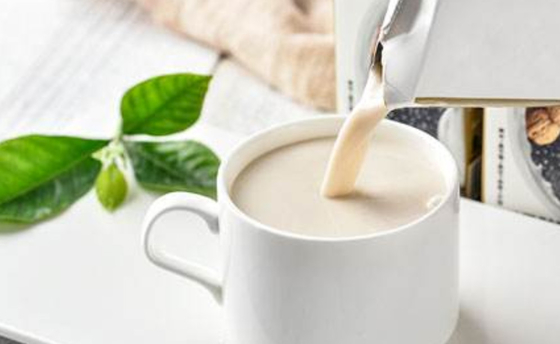 204-664-4 émulsifiants alimentaires naturels mono et diglycérides GMS40 E471